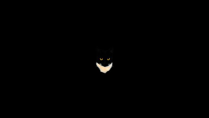 My Cat turned into a minimalistic dark wallpaper [1920x1080] | Dark 