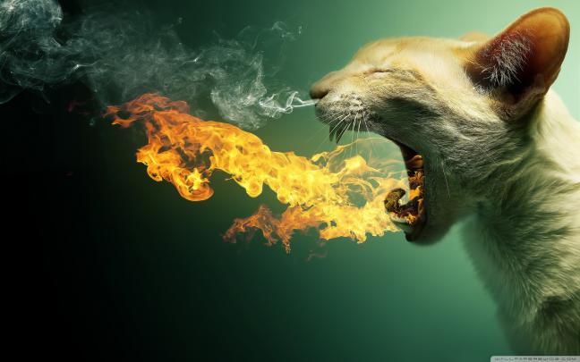 43+ Cool wallpapers for PC \u00b7\u2460 Download free amazing backgrounds for 