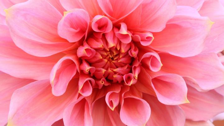 Beautiful Wallpapers for Desktop Full Screen (55+ images)