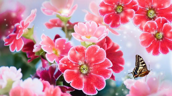 Spring Dual Screen Wallpapers - Top Free Spring Dual Screen Backgrounds 