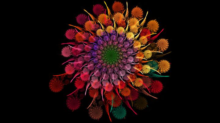 [44+] Widescreen Desktop Wallpaper Dark Flower 