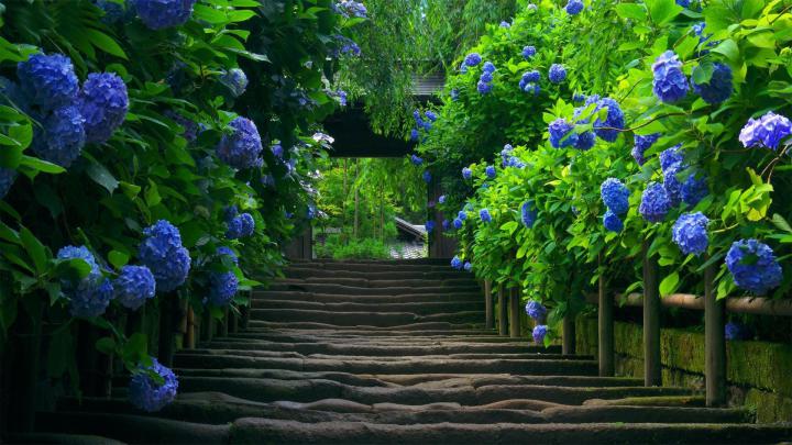 Garden Desktop Wallpaper (64+ pictures)