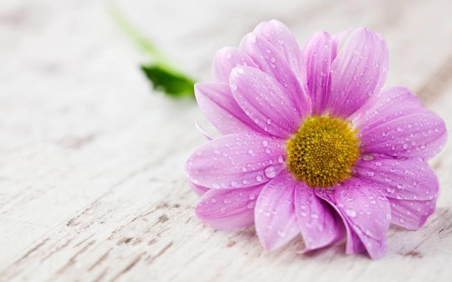 Beautiful Wallpapers for Desktop Full Screen (55+ images)