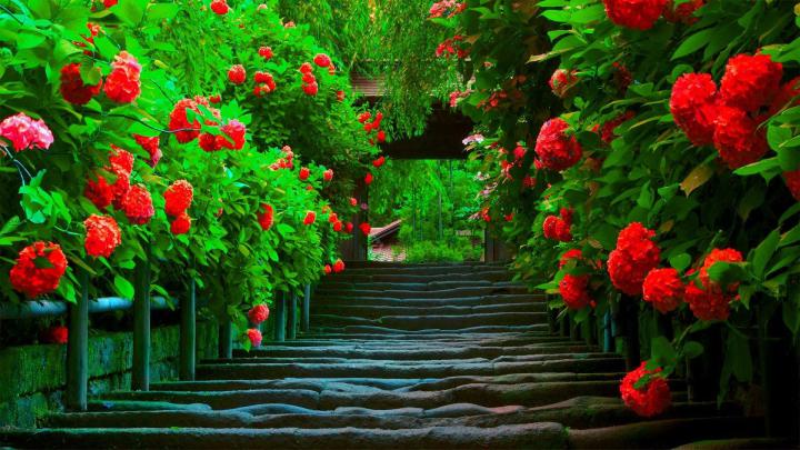 Beautiful Wallpapers for Desktop Full Screen (55+ images)
