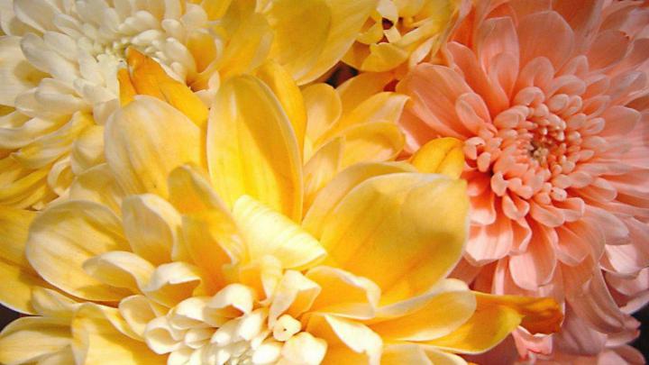 Spring Screen Wallpaper (52+ images)