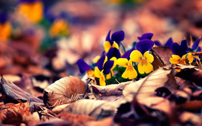 3D Wallpapers for Windows 10 (59+ images)