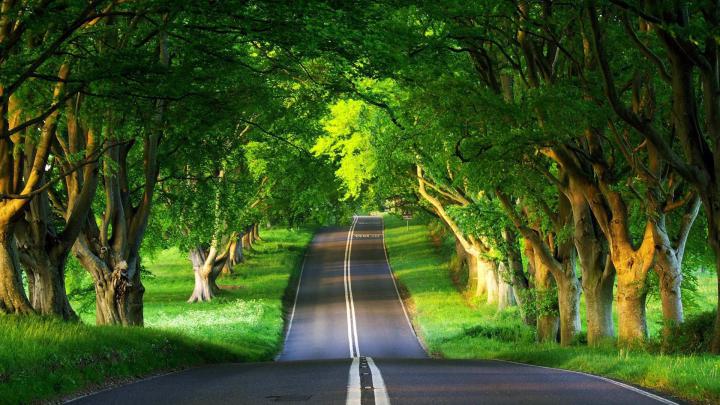 Die 91+ Besten Natur Hintergrundbilder HD 3D
