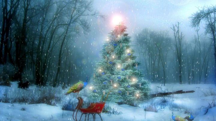 [45+] Christmas Nature 1920x1080 Wallpapers 