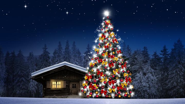 [45+] Christmas Nature 1920x1080 Wallpapers 