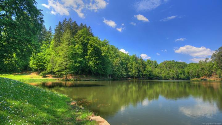 Desktop Wallpaper HD 1920x1080 -