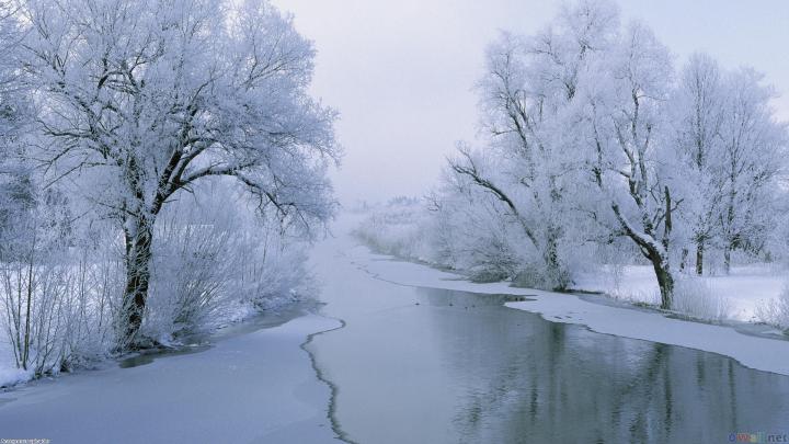 Winter Wallpapers