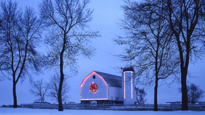 Winter Wallpapers