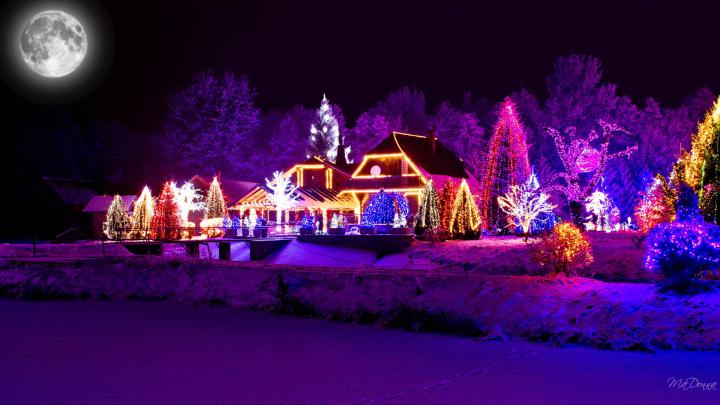 Christmas Lights HD Wallpaper | Background Image | 1920x1080 | 