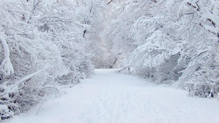 Winter Wallpapers