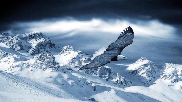 Winter Wallpapers