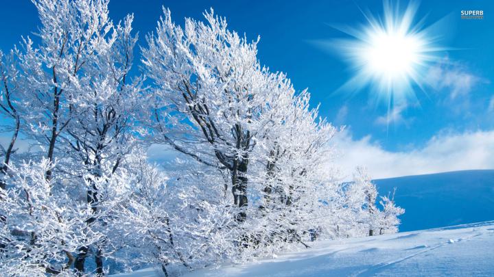 Winter Wallpapers
