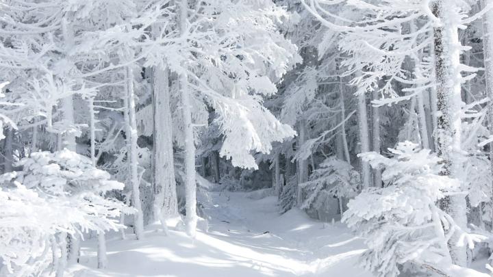 Winter Wallpapers