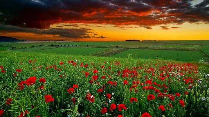Windows 10 Wallpaper Hd 1920x1080 Nature Download