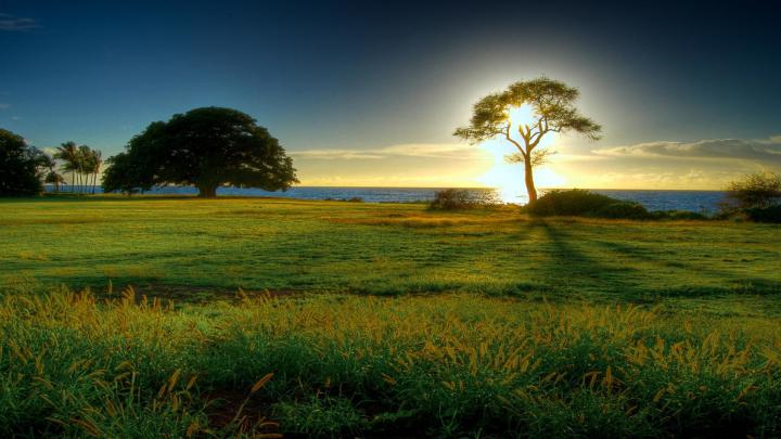 Nature Wallpaper 1600x900 (72+ pictures)