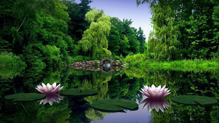 Wallpapers HD 1920x1080 Nature
