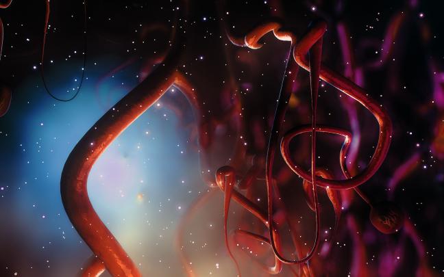 Nephron 2 by sanfranguy.deviantart.com on @DeviantArt | Wallpaper 