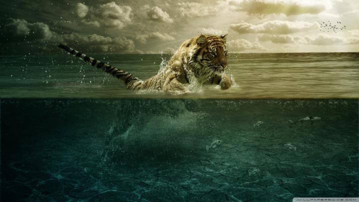 Wallpaper : digital art, animals, fantasy art, sea, reflection, tiger 