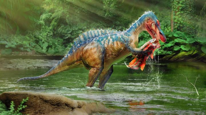 Dinosaurs Desktop Wallpaper 1920x1080 -