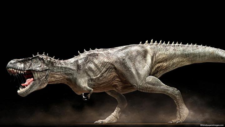 Dinosaur Wallpaper HD (69+ images)