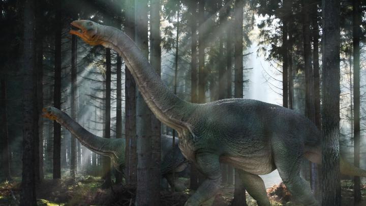 Dinosaurs Desktop Wallpaper 1920x1080 -