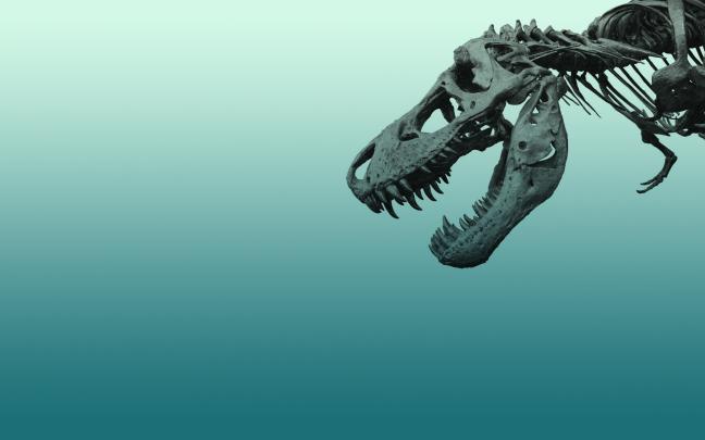 Dinosaur wallpaper \u00b7\u2460 Download free awesome High Resolution wallpapers 