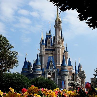 10 Most Popular Hd Disney World Wallpaper FULL HD 1920\u00d71080 For PC 
