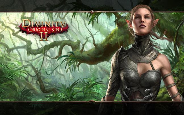 Divinity: Original Sin II 4k Ultra HD Wallpaper | Background Image 