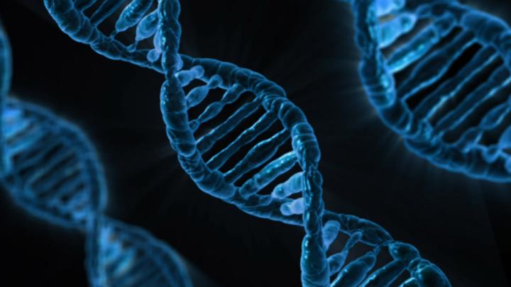 Scientific DNA Wallpapers \u00b7\u2460 
