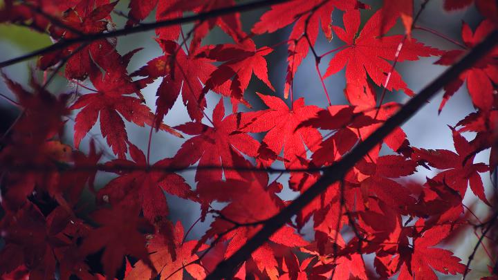 25 Smart Tumblr Backgrounds