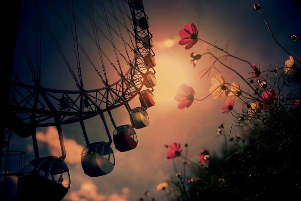 Ferris Wheel Wallpapers Backgrounds