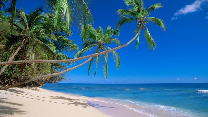 Island Wallpaper for My Desktop -