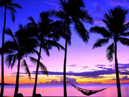 Fiji Wallpapers
