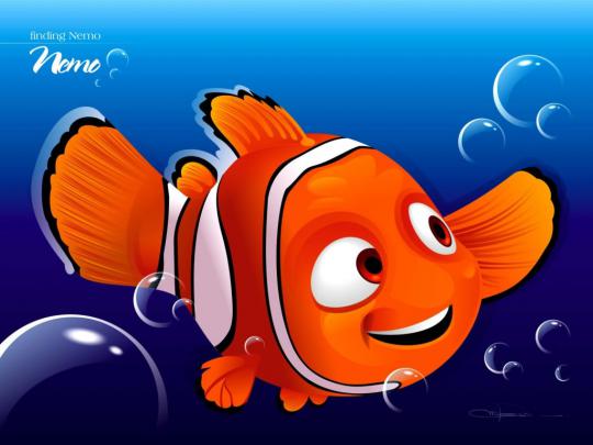 A Place For Free HD Wallpapers | Desktop Wallpapers: Nemo Wallpapers