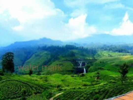 Picture\/Photo\/Wallpaper\/Desktop\/Background\/Natural photography | eBay