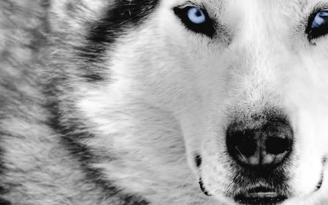 Best Desktop Backgrounds HD