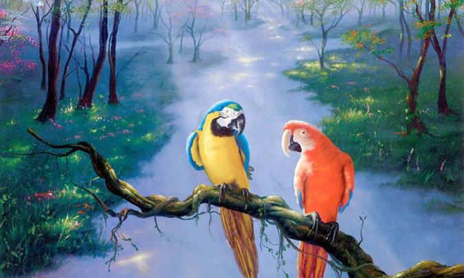 Beautiful Wallpapers \/ Beautiful Wallpapers Free Hd Download 500 Hq 