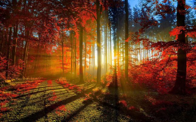 Beautiful Wallpaper free download for desktop ~ Message In Image