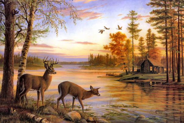 Deer Desktop Backgrounds