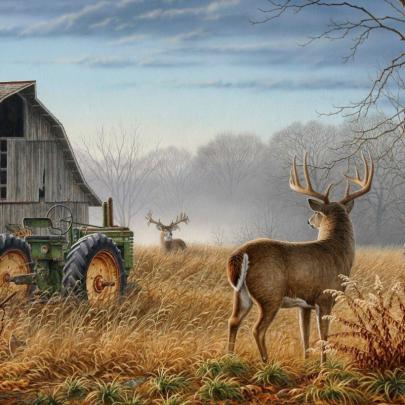 10 New Deer Hunting Desktop Wallpaper FULL HD 1920\u00d71080 For PC Desktop 2020
