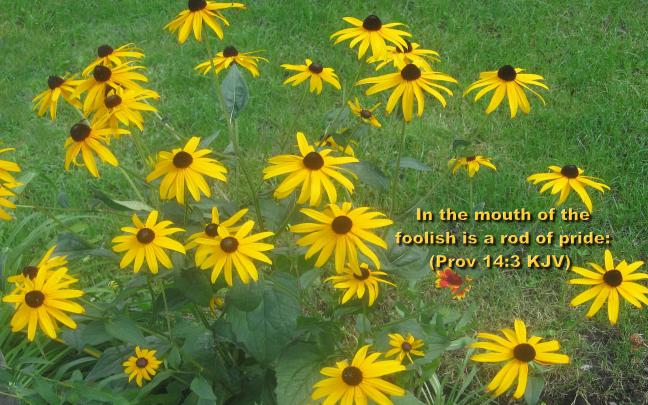 Christmas Cards 2012: Bible Verse Desktop Wallpapers Free Download