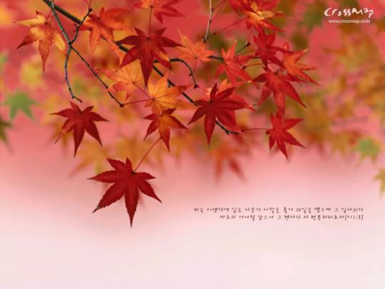 Christmas Cards 2012: Inspirational Bible Verse Desktop Wallpapers