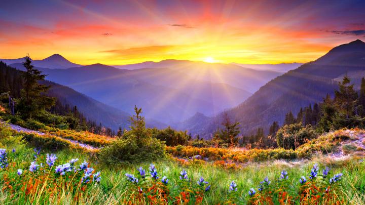 Download Free Sunrise Wallpapers