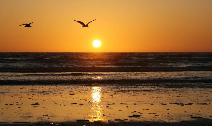 Sunrise Wallpapers Free
