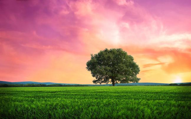 Sunrise Wallpapers for Desktop (63+ images)