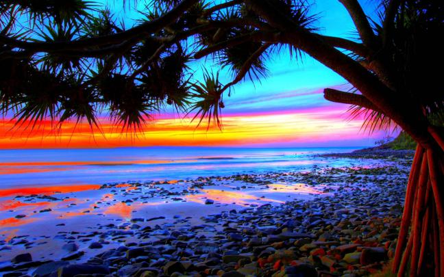 Tropical Landscape Colorful Beach Sunset Desktop Wallpapers Hd 